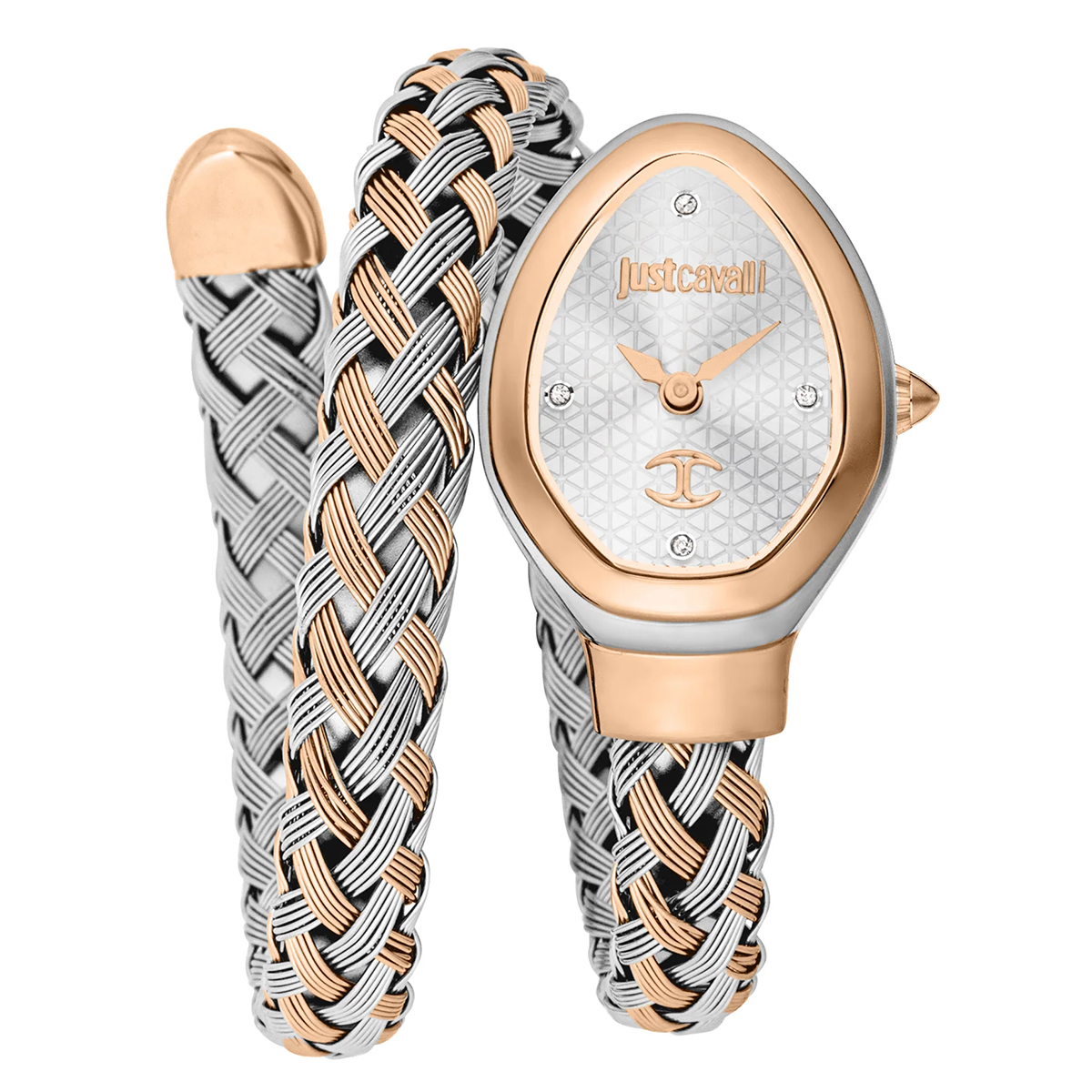 MONTRE JUST CAVALI FEMME ACIER